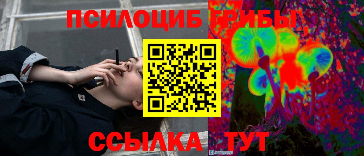 Гулькевичи  Галлюциногенные грибы Magic Shrooms  Вход с VPN 